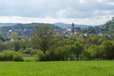 Bittprozession an der Weingartenkapelle (Foto: Karl-Franz Thiede)